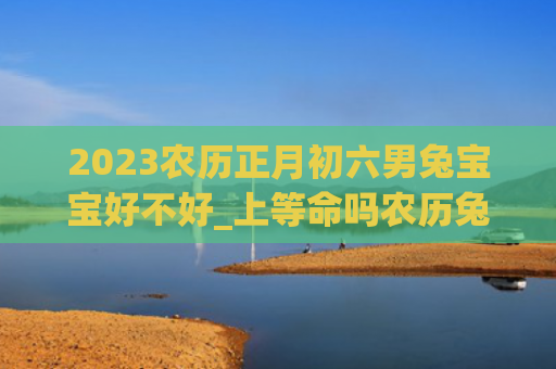 2023农历正月初六男兔宝宝好不好_上等命吗农历兔宝宝好不好正月初六