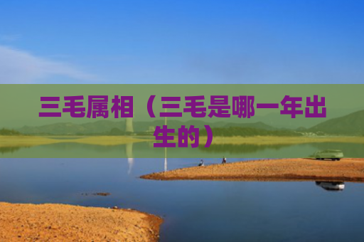 三毛属相（三毛是哪一年出生的）