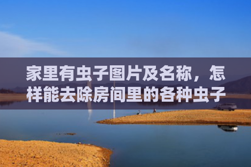 家里有虫子图片及名称，怎样能去除房间里的各种虫子（虫子房间里去除）