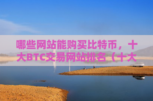 哪些网站能购买比特币，十大BTC交易网站排名（十大比特网站排名）