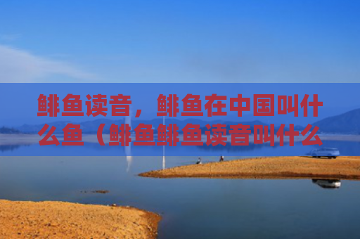 鲱鱼读音，鲱鱼在中国叫什么鱼（鲱鱼鲱鱼读音叫什么）