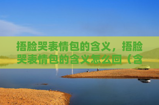 捂脸哭表情包的含义，捂脸哭表情包的含义怎么回（含义表情捂脸哭）