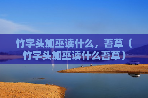 竹字头加巫读什么，蓍草（竹字头加巫读什么蓍草）
