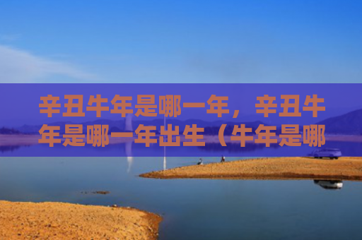 辛丑牛年是哪一年，辛丑牛年是哪一年出生（牛年是哪一年辛丑出生）
