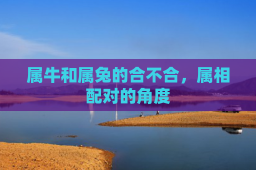 属牛和属兔的合不合，属相配对的角度
