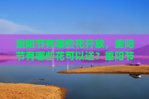 重阳节有哪些花开放，重阳节有哪些花可以送？重阳节送什么花给老人好？