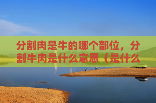分割肉是牛的哪个部位，分割牛肉是什么意思（是什么意思分割牛肉）