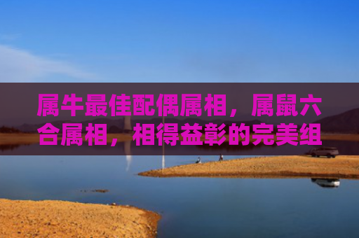 属牛最佳配偶属相，属鼠六合属相，相得益彰的完美组合