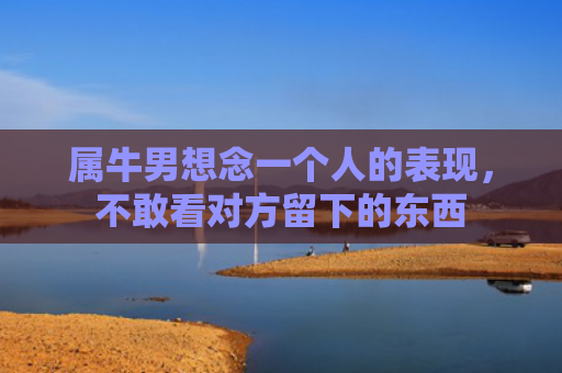 属牛男想念一个人的表现，不敢看对方留下的东西