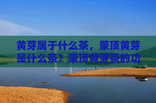 黄芽属于什么茶，蒙顶黄芽是什么茶？蒙顶黄芽茶的功效与作用有哪些？