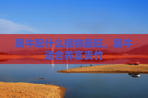 属牛配什么植物最旺，属牛适合养富贵竹