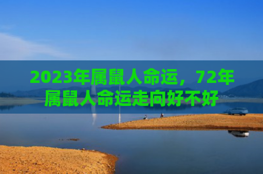 2023年属鼠人命运，72年属鼠人命运走向好不好