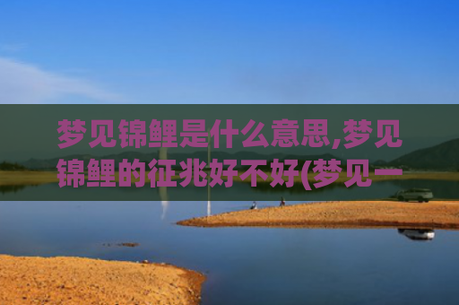 梦见锦鲤是什么意思,梦见锦鲤的征兆好不好(梦见一池锦鲤是什么意思)