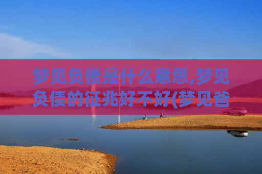 梦见负债是什么意思,梦见负债的征兆好不好(梦见爸爸负债是什么意思)