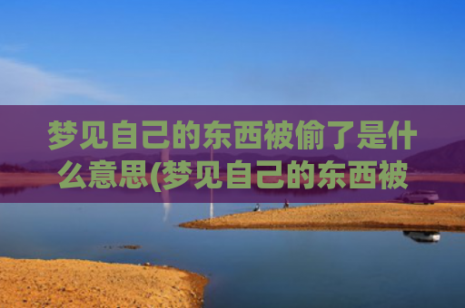 梦见自己的东西被偷了是什么意思(梦见自己的东西被人偷了)