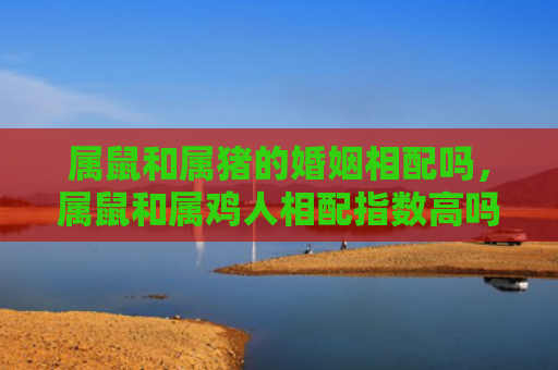 属鼠和属猪的婚姻相配吗，属鼠和属鸡人相配指数高吗
