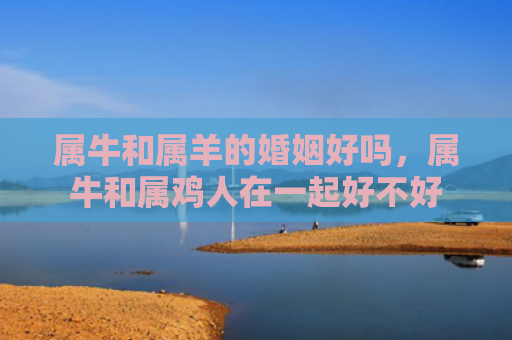 属牛和属羊的婚姻好吗，属牛和属鸡人在一起好不好