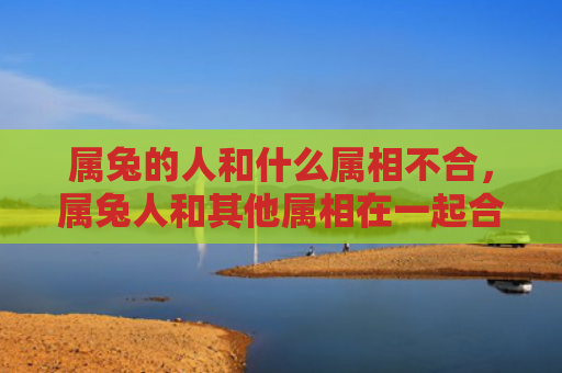 属兔的人和什么属相不合，属兔人和其他属相在一起合财吗