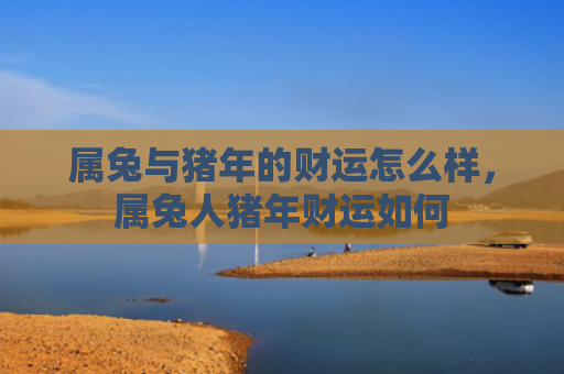 属兔与猪年的财运怎么样，属兔人猪年财运如何