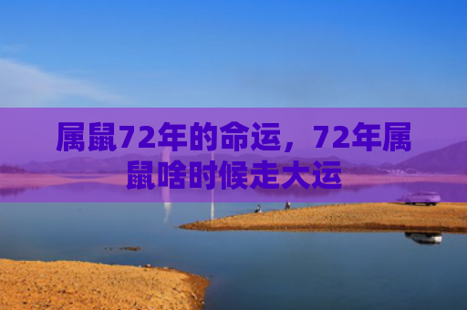 属鼠72年的命运，72年属鼠啥时候走大运
