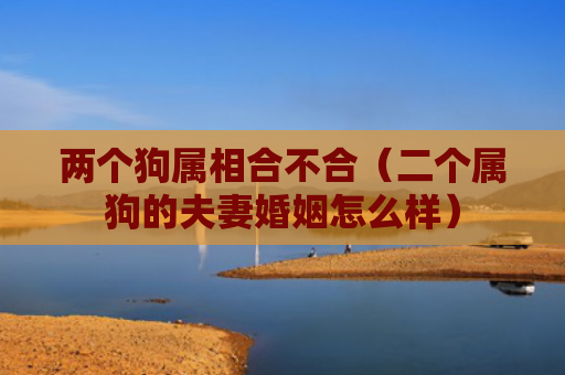两个狗属相合不合（二个属狗的夫妻婚姻怎么样）