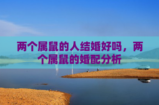 两个属鼠的人结婚好吗，两个属鼠的婚配分析