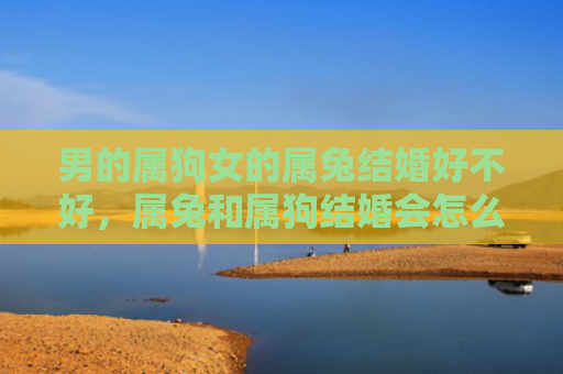 男的属狗女的属兔结婚好不好，属兔和属狗结婚会怎么样