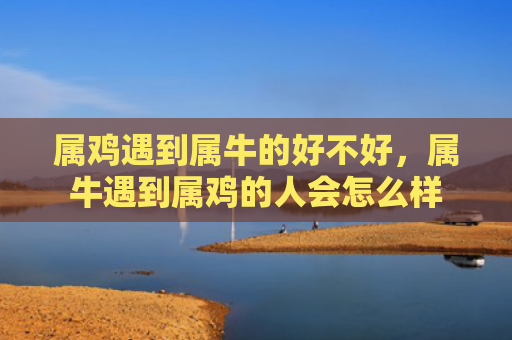 属鸡遇到属牛的好不好，属牛遇到属鸡的人会怎么样