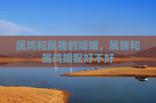 属鸡和属猪的婚姻，属猪和属鸡婚配好不好