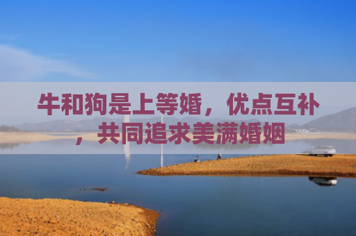牛和狗是上等婚，优点互补，共同追求美满婚姻