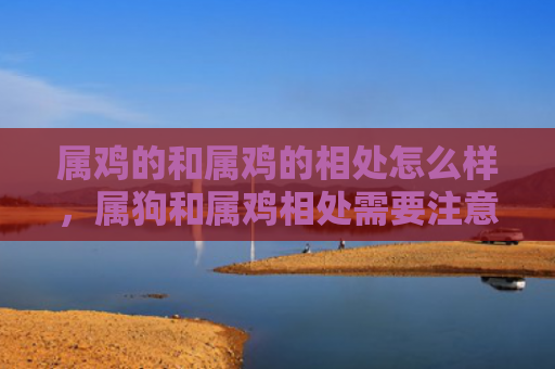 属鸡的和属鸡的相处怎么样，属狗和属鸡相处需要注意什么