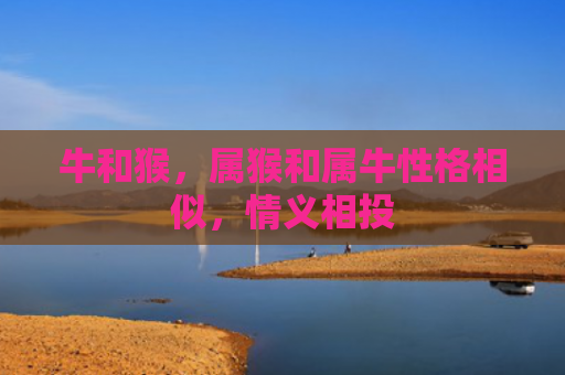 牛和猴，属猴和属牛性格相似，情义相投