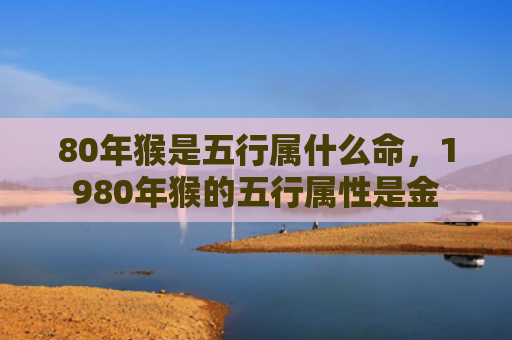 80年猴是五行属什么命，1980年猴的五行属性是金
