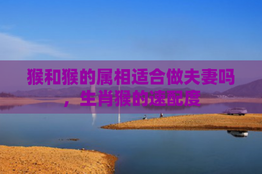 猴和猴的属相适合做夫妻吗，生肖猴的速配度