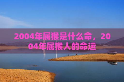 2004年属猴是什么命，2004年属猴人的命运