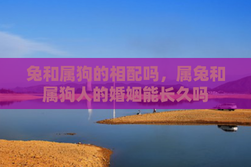 兔和属狗的相配吗，属兔和属狗人的婚姻能长久吗