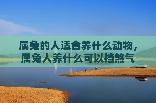 属兔的人适合养什么动物，属兔人养什么可以挡煞气