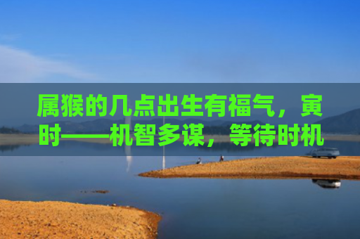 属猴的几点出生有福气，寅时——机智多谋，等待时机