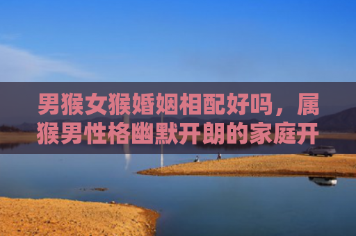 男猴女猴婚姻相配好吗，属猴男性格幽默开朗的家庭开心果