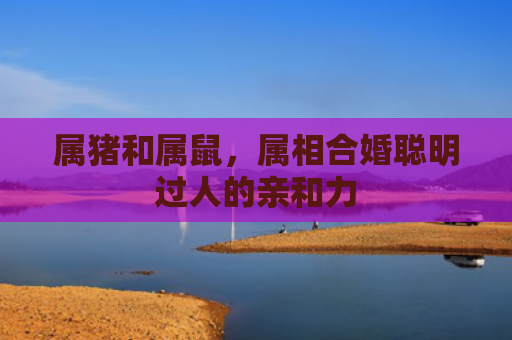 属猪和属鼠，属相合婚聪明过人的亲和力