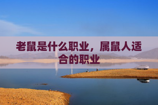 老鼠是什么职业，属鼠人适合的职业