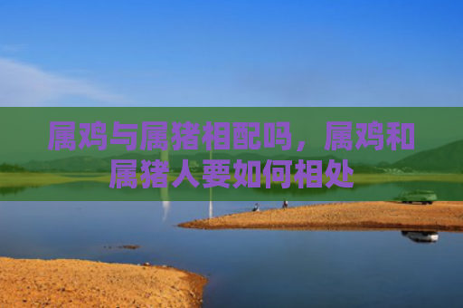 属鸡与属猪相配吗，属鸡和属猪人要如何相处