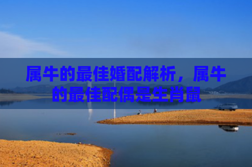 属牛的最佳婚配解析，属牛的最佳配偶是生肖鼠