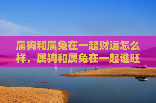 属狗和属兔在一起财运怎么样，属狗和属兔在一起谁旺谁