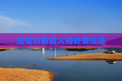 属兔和属猪人相处需注意