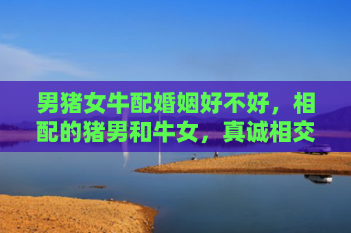 男猪女牛配婚姻好不好，相配的猪男和牛女，真诚相交