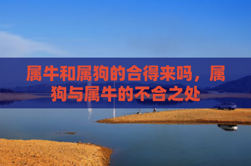 属牛和属狗的合得来吗，属狗与属牛的不合之处