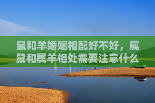 鼠和羊婚姻相配好不好，属鼠和属羊相处需要注意什么