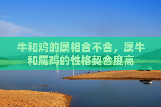 牛和鸡的属相合不合，属牛和属鸡的性格契合度高