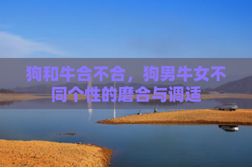 狗和牛合不合，狗男牛女不同个性的磨合与调适